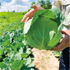 写真のタイトル