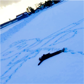 写真のタイトル