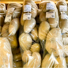 写真のタイトル