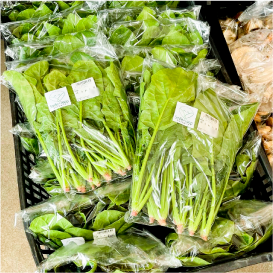 写真のタイトル