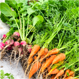 写真のタイトル